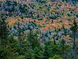 Burnt Rock 010